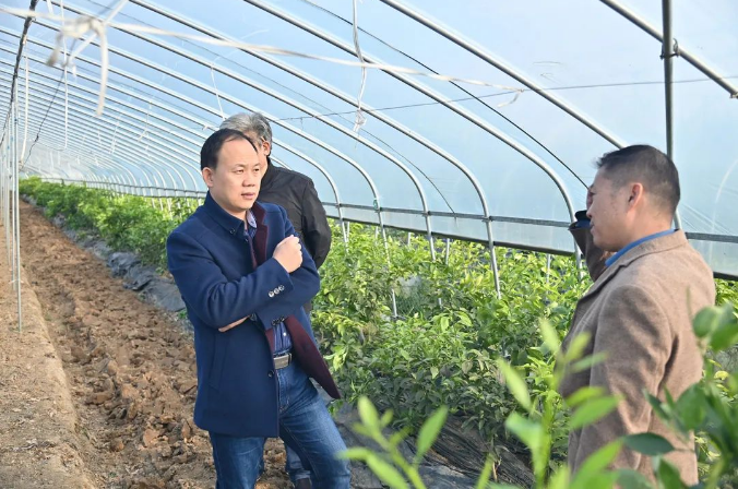 918博天堂 --官方网站